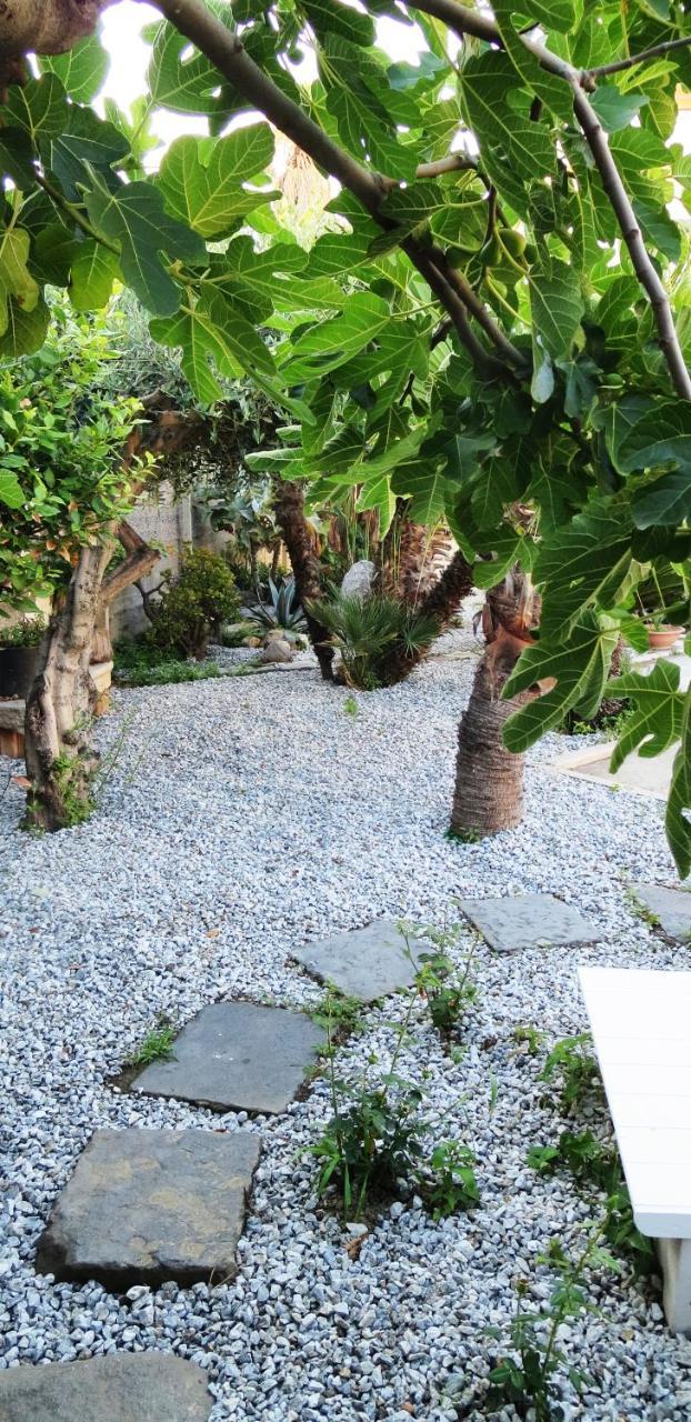 Idria B&B 巴塞罗纳-波佐戈托 外观 照片