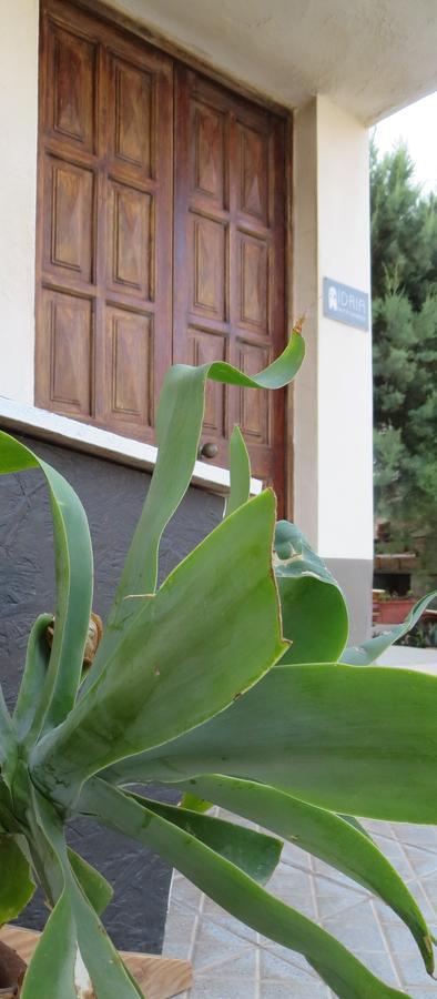Idria B&B 巴塞罗纳-波佐戈托 外观 照片